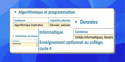 Option informatique au collège